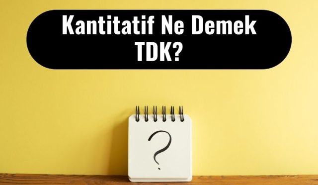 Kantitatif Ne Demek TDK? Tıpta Kantitatif Tanımı