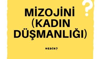 Mizojini (Kadın Düşmanlığı) Nedir?