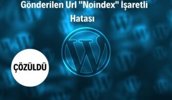 Wordpress | Gönderilen Url ”Noindex” İşaretli Hatası Çözümü