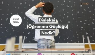 Disleksi (Öğrenme Güçlüğü) Nedir?