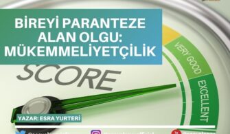 Bireyi Paranteze Alan Olgu: Mükemmeliyetçilik