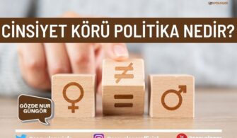 Cinsiyet Körü Politika Nedir?