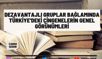 Dezavantajlı Gruplar Bağlamında Türkiye’deki Çingenelerin Genel Görünümleri