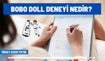 Bobo Doll Deneyi Nedir?