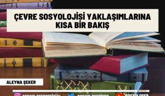 Çevre Sosyolojisi Yaklaşımlarına Kısa Bir Bakış