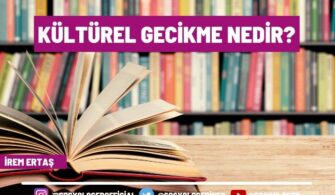 Kültürel Gecikme Nedir? Kültürel Gecikmeyi Ortaya Atan Kişi Kimdir?