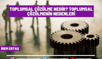 Toplumsal Çözülme Nedir? Toplumsal Çözülmenin Nedenleri