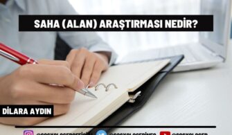 Saha (Alan) Araştırması Nedir? Saha Araştırması Teknikleri