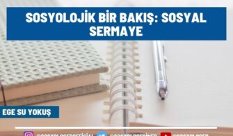 Sosyolojik Bir Bakış: Sosyal Sermaye