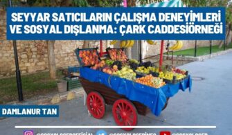 Seyyar Satıcıların Çalışma Deneyimleri ve Sosyal Dışlanma: Çark Caddesi Örneği