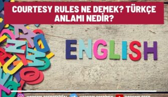 Courtesy Rules Ne Demek? Türkçe Anlamı Nedir?