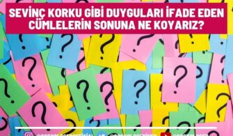 Sevinç Korku Gibi Duyguları İfade Eden Cümlelerin Sonuna Ne Koyarız?