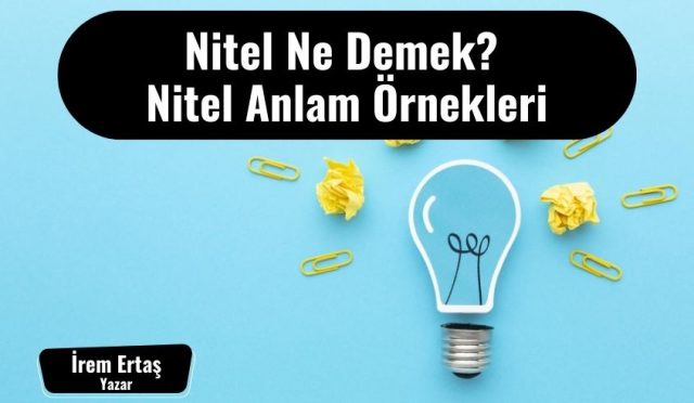 Nitel Ne Demek? Nitel Anlam Örnekleri