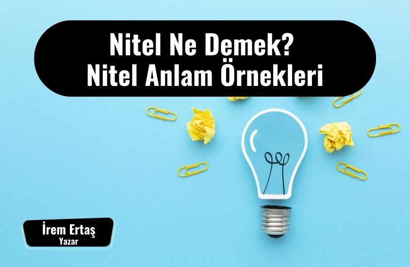 Nitel Ne Demek? Nitel Anlam Örnekleri