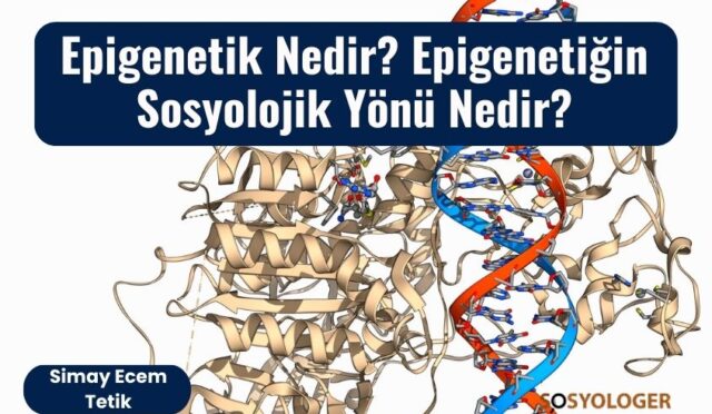 Epigenetik Nedir? Epigenetiğin Sosyolojik Yönü Nedir?