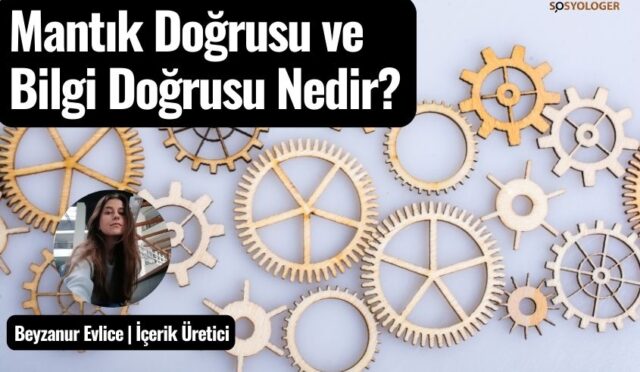 Mantık Doğrusu Ve Bilgi Doğrusu Nedir? Örnekleriyle